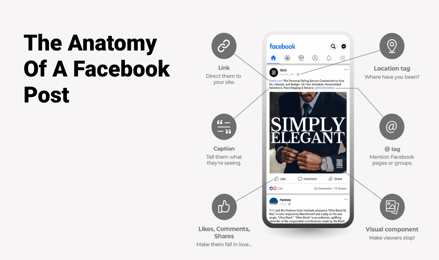 facebook post anatomy