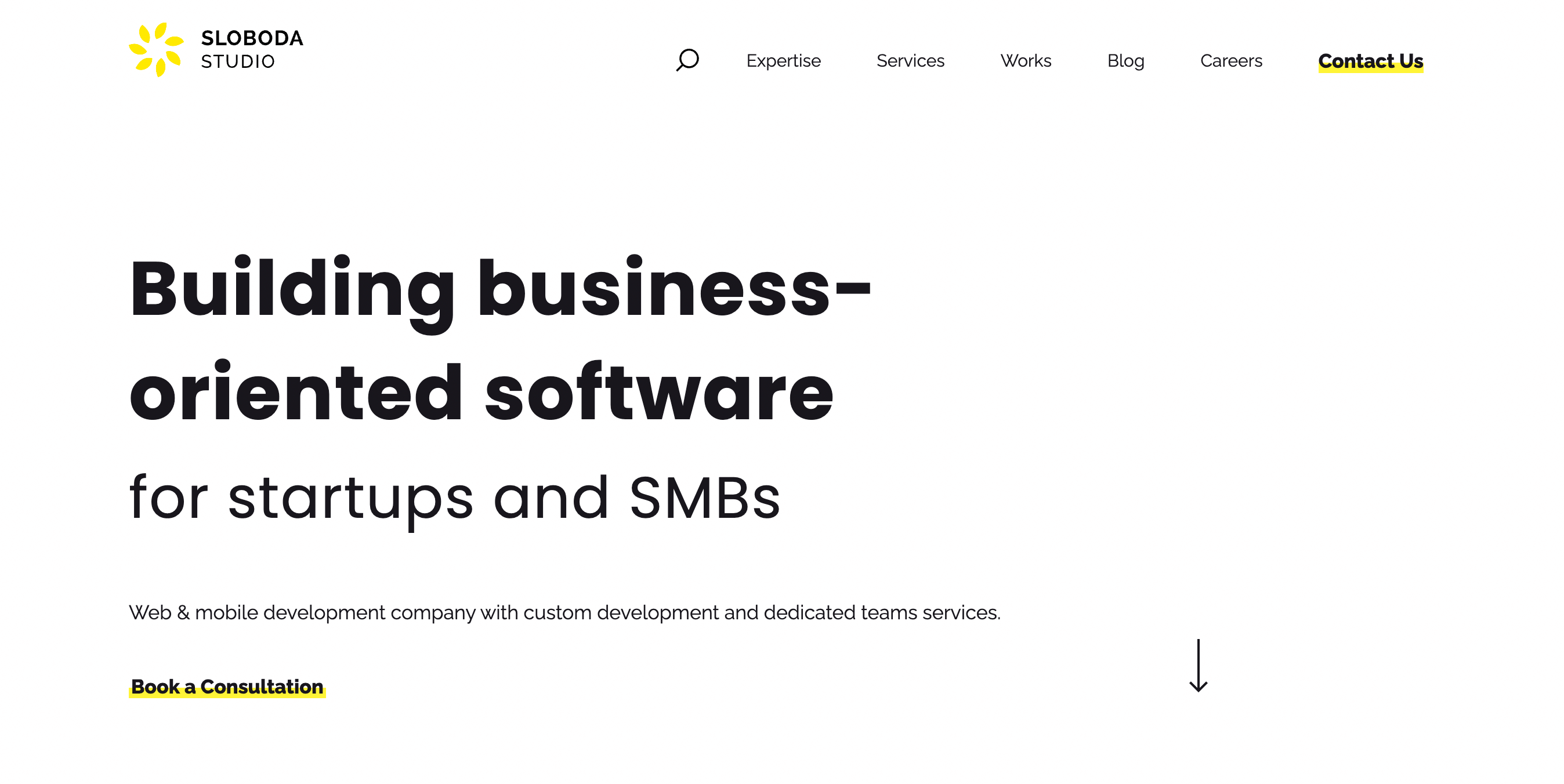 top software development company in Estonia