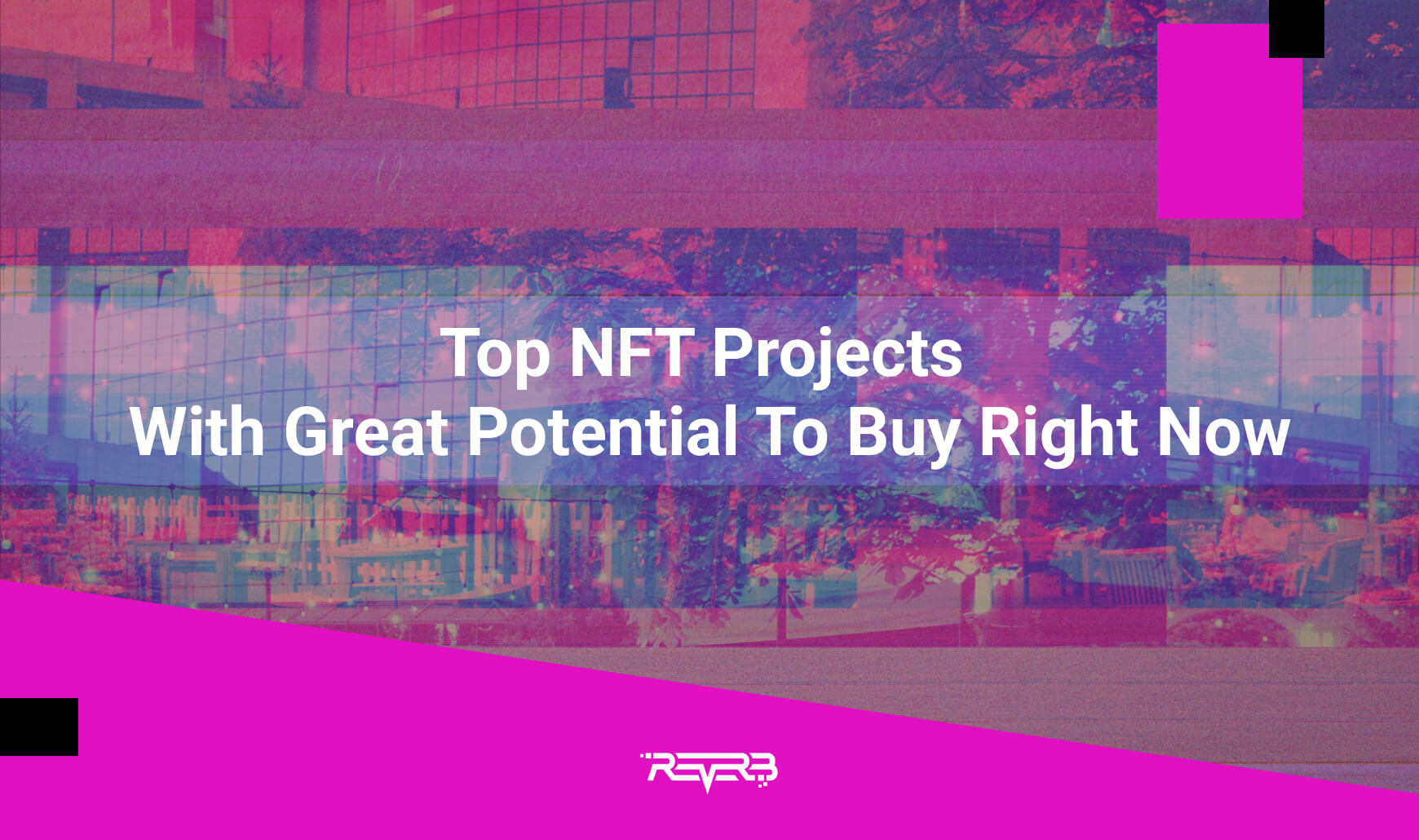 Top NFT Projects With Great Potential To Buy Right Now REVERB