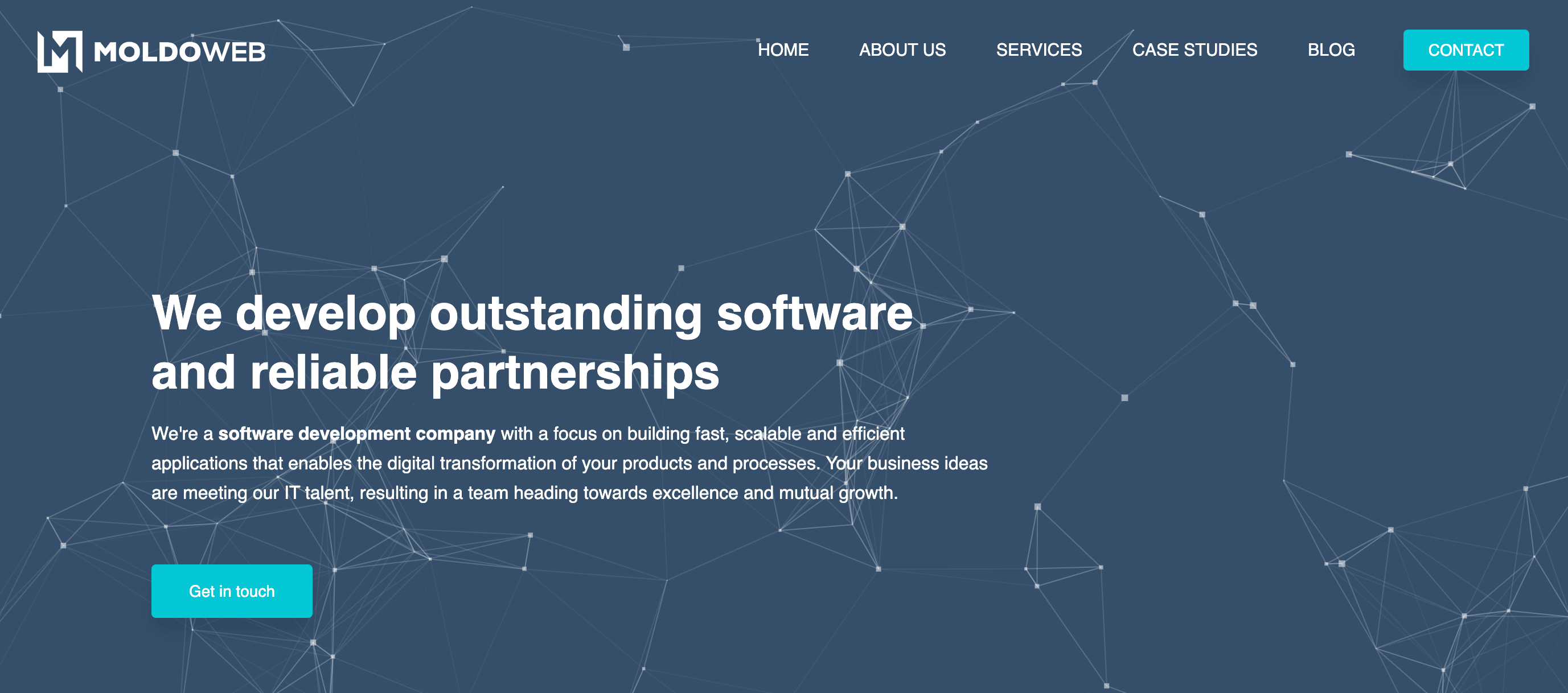 Some of the top software projects in Roweb's portfolio 