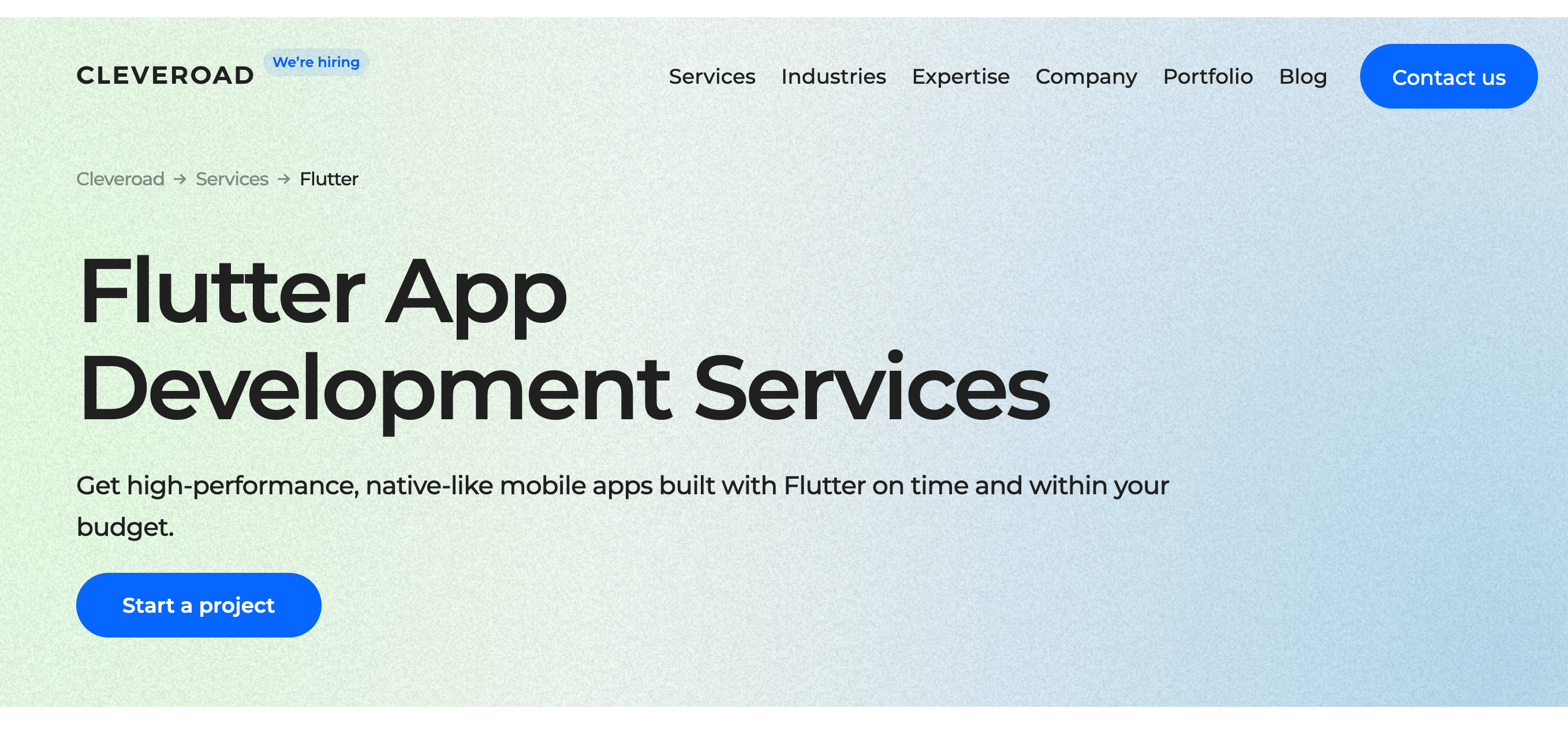 Top Flutter App Development Companies