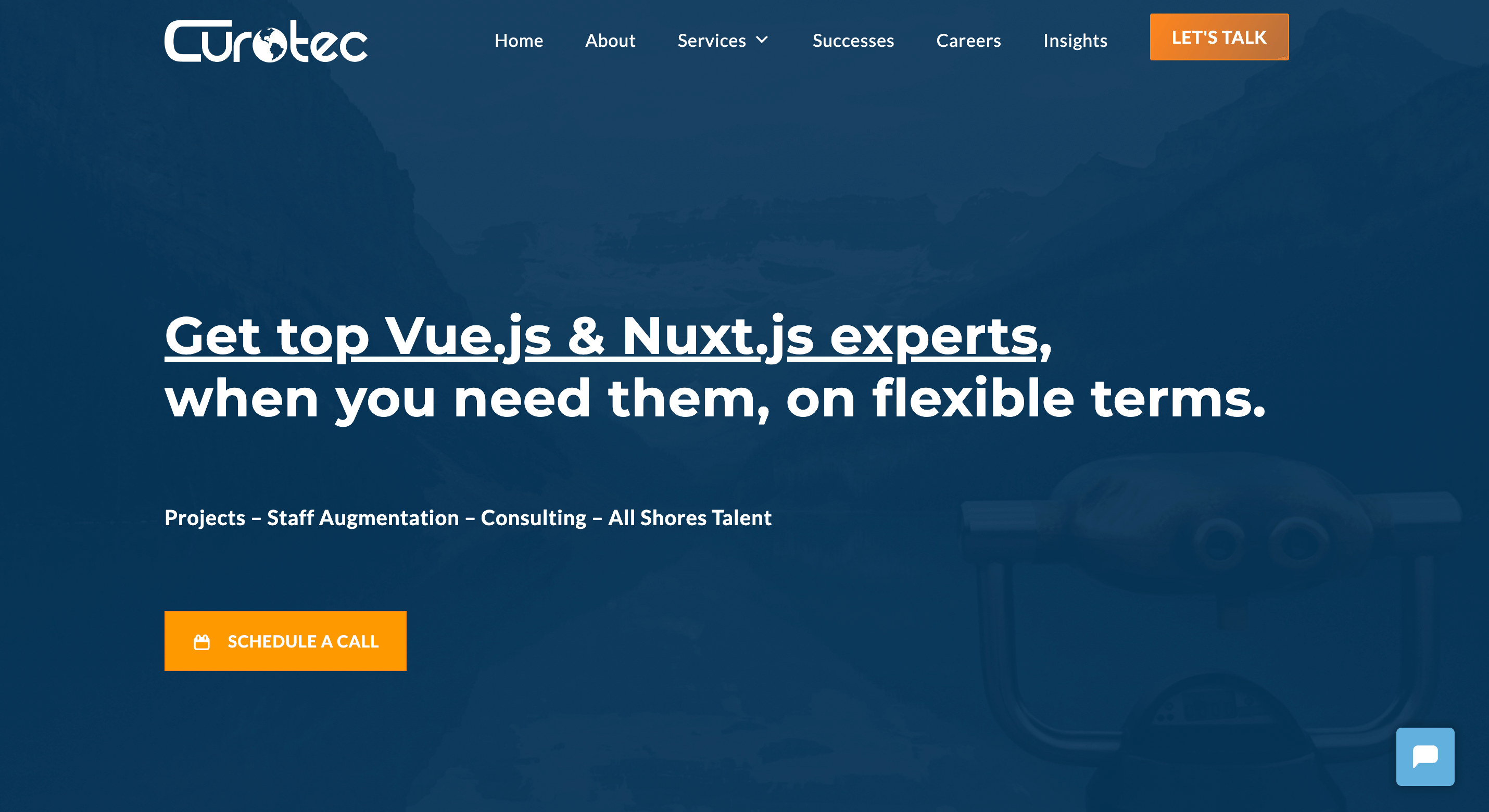best Vue.js company