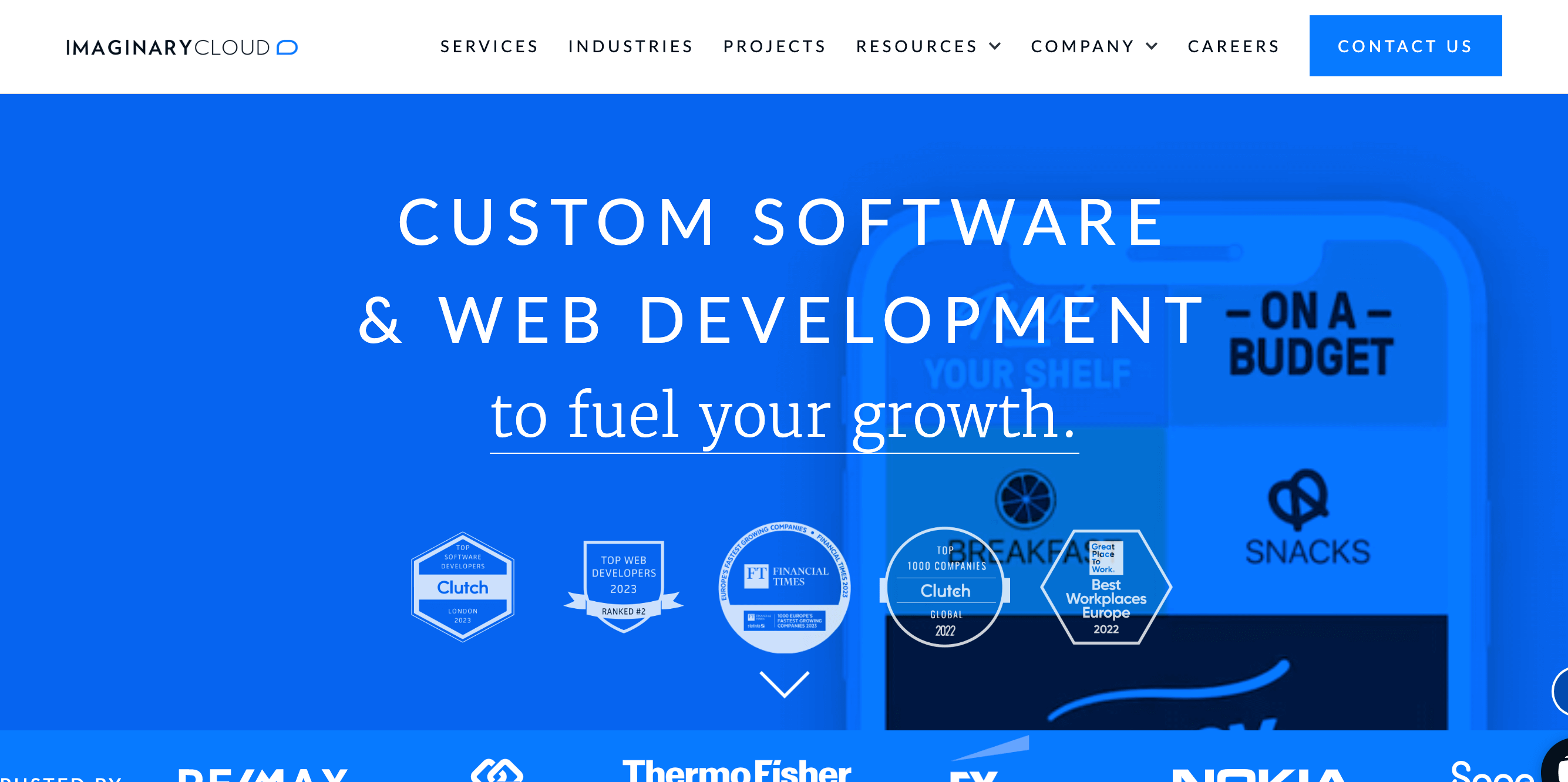 Top Web Development Companies