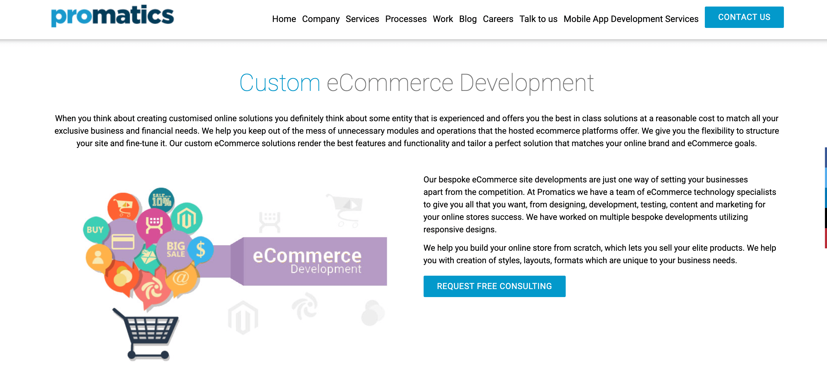 Top eCommerce Website Developers