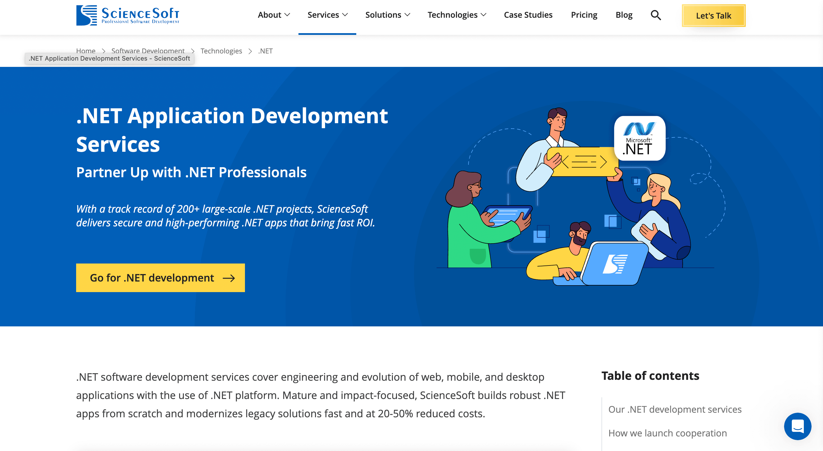 .net development partner