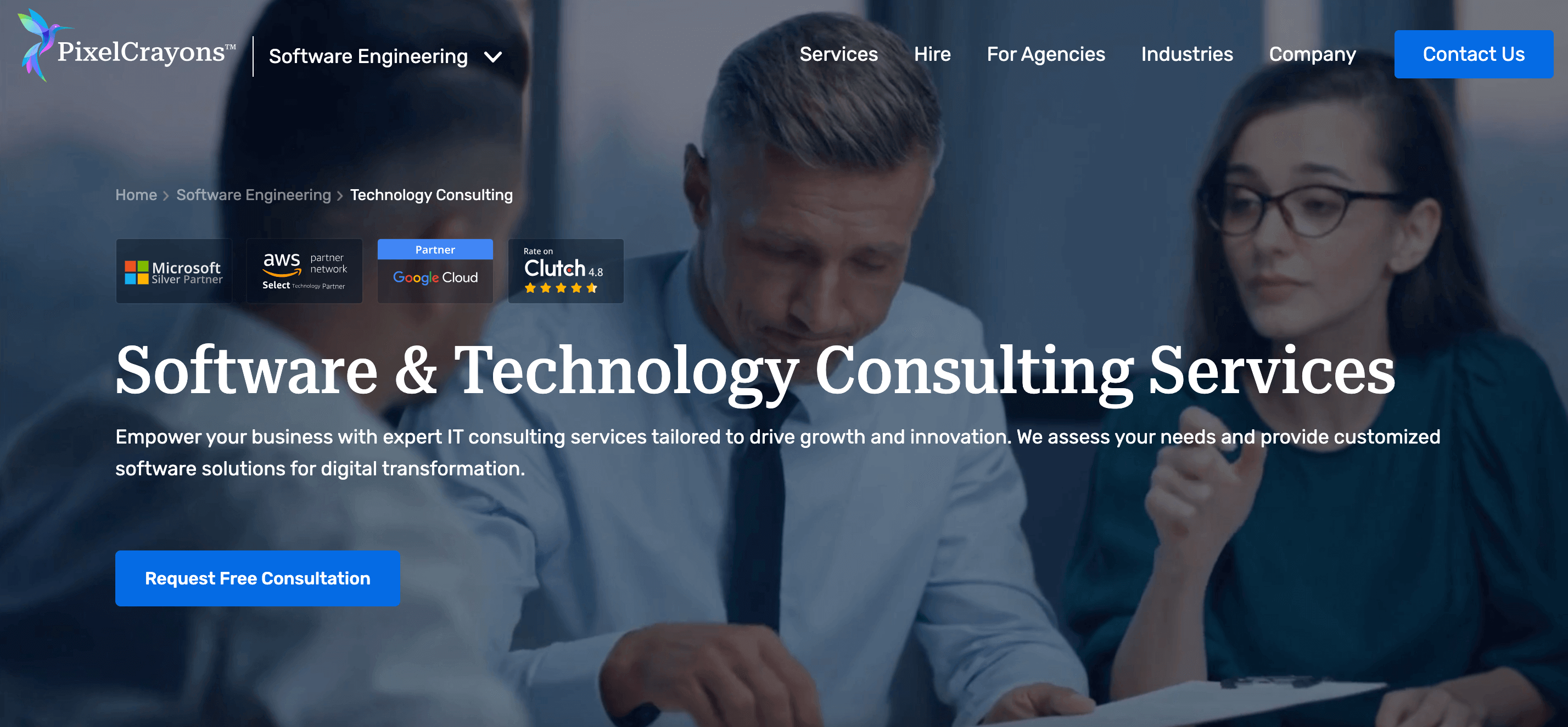 Top Software Development Consulting Companies