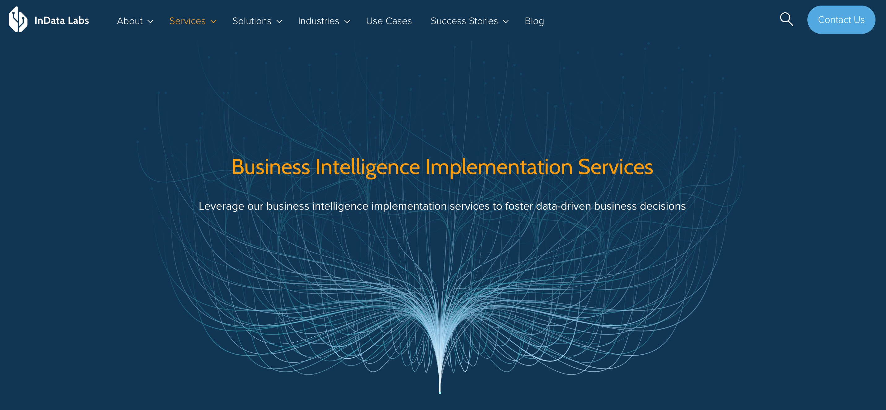 Top Business Intelligence Services Providers