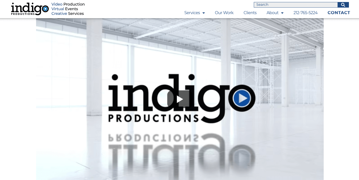 Indigo Video Explainer Company