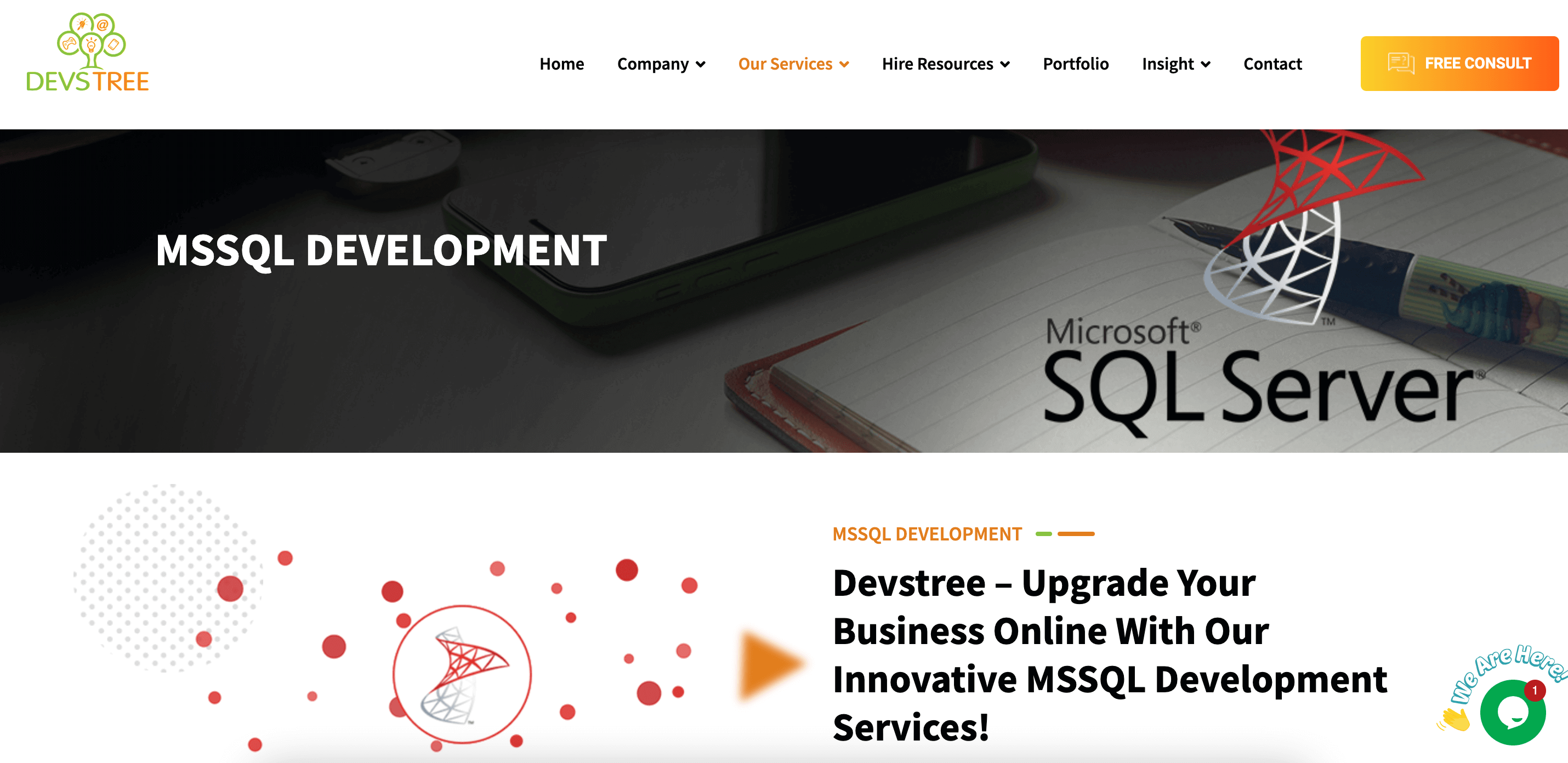 Top SQL Development Companies
