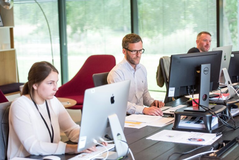 How to Improve Data Management in the Company?
