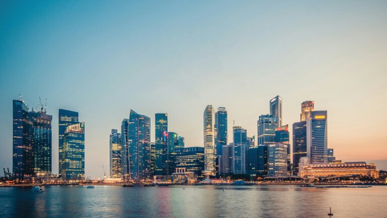 Top Software Developers In Singapore