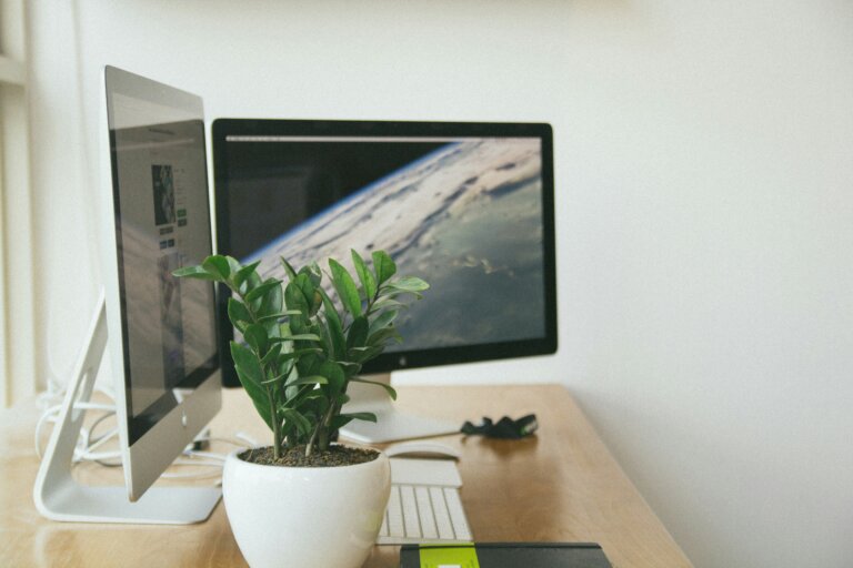 Top WeWeb Developers In 2025