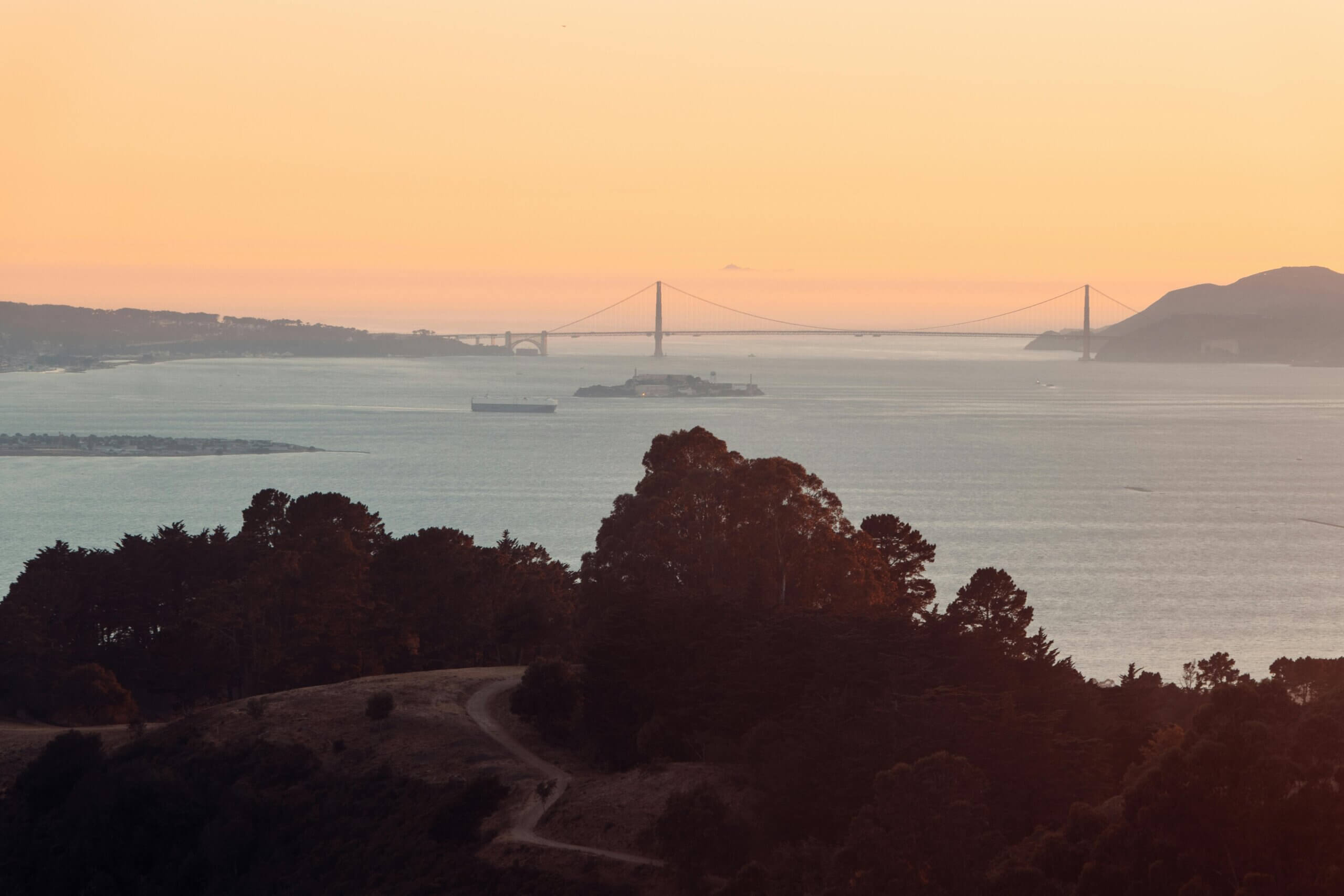 How to Boost Your Business with Yelp Ads in South Bay