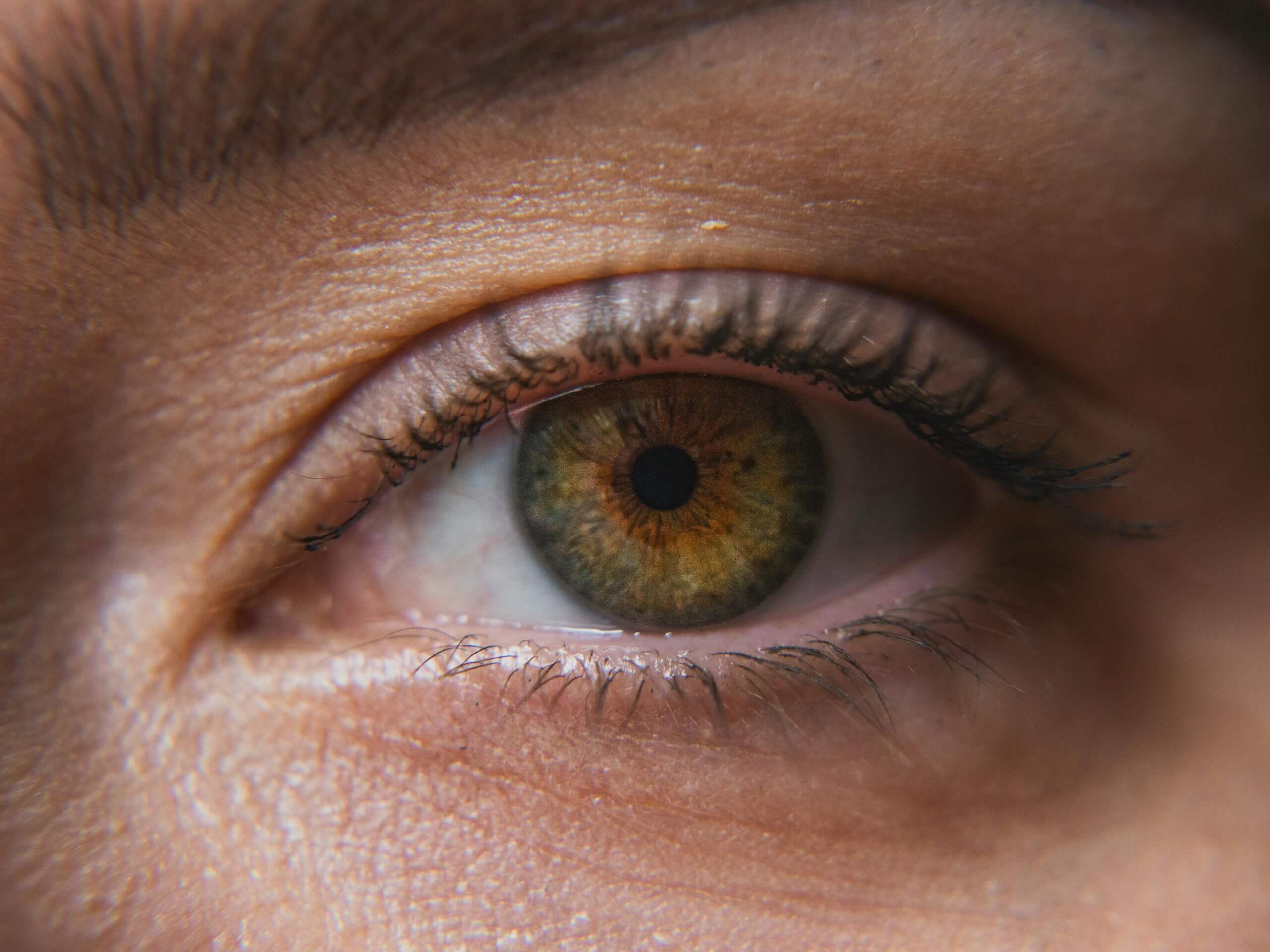 eye lenses