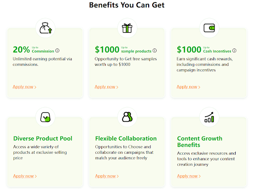 Temu benefits