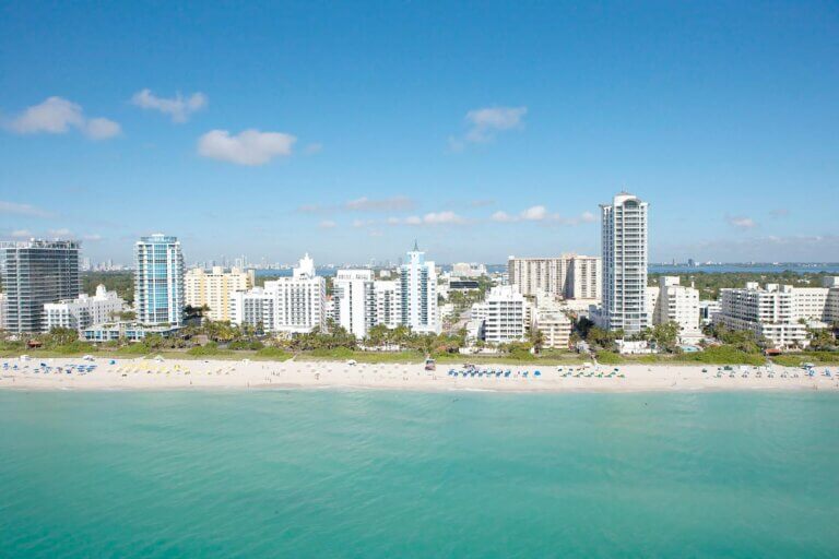 Top Reputation Management Companies In Miami