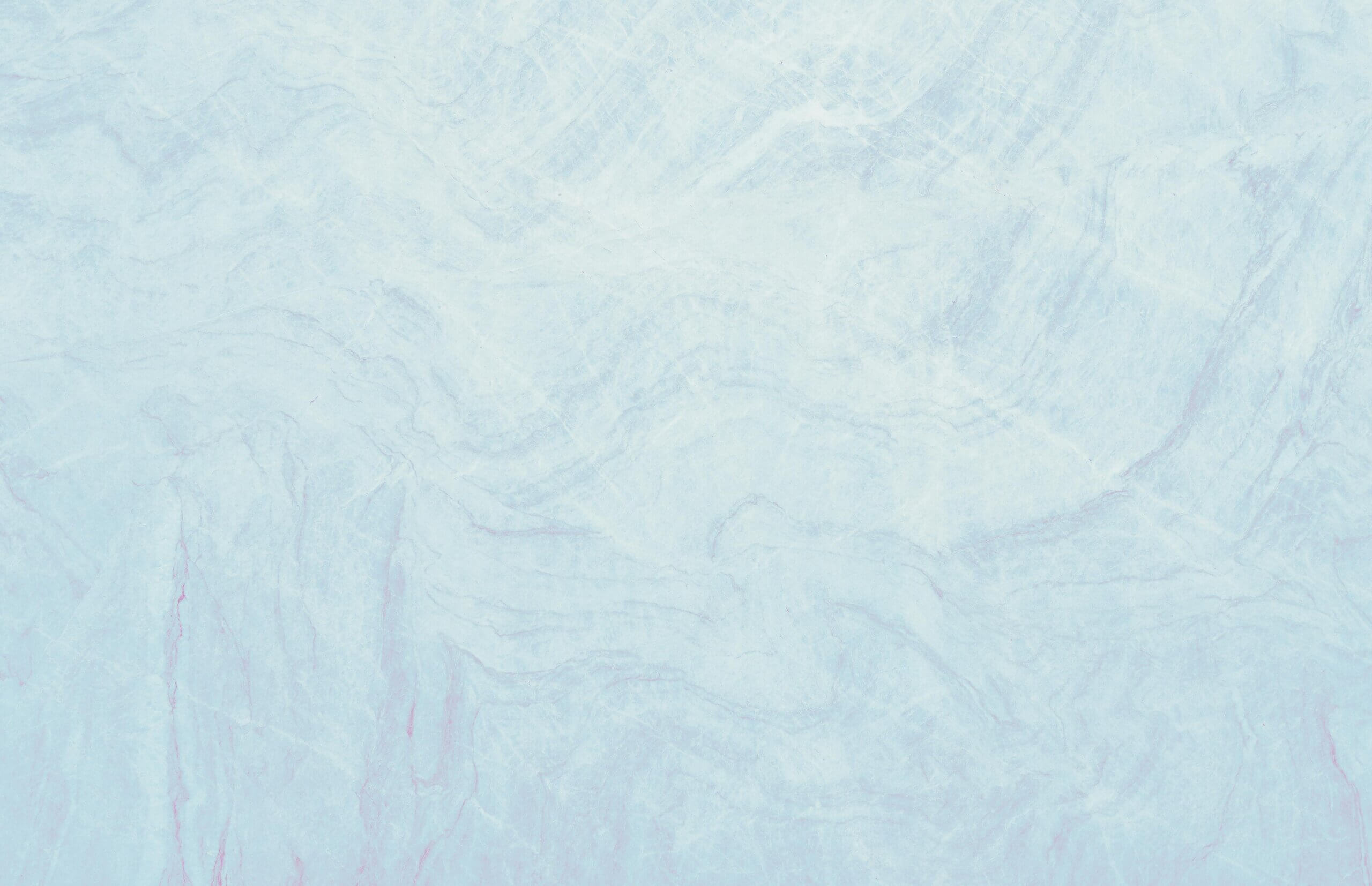 Top Reputation Management Companies In Florida