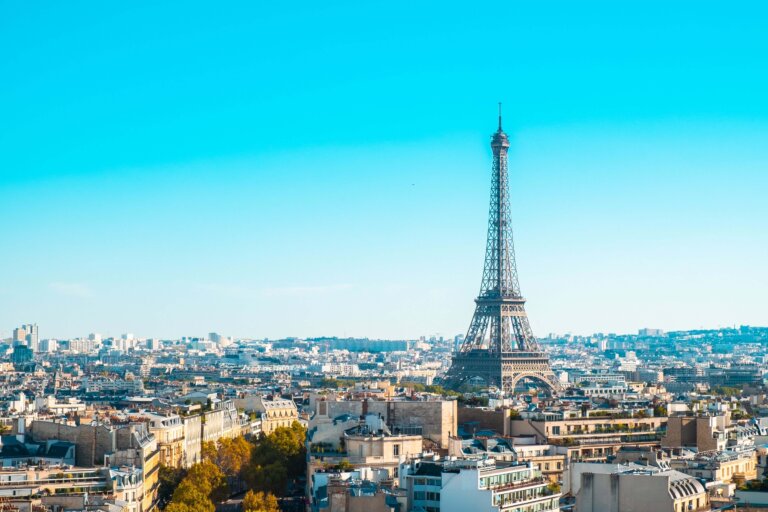 Top Reputation Management Companies In France