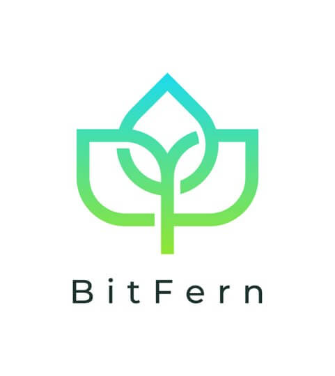 BitFern LLC