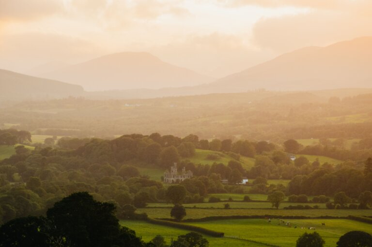Top SEO Agencies In Ireland In 2026