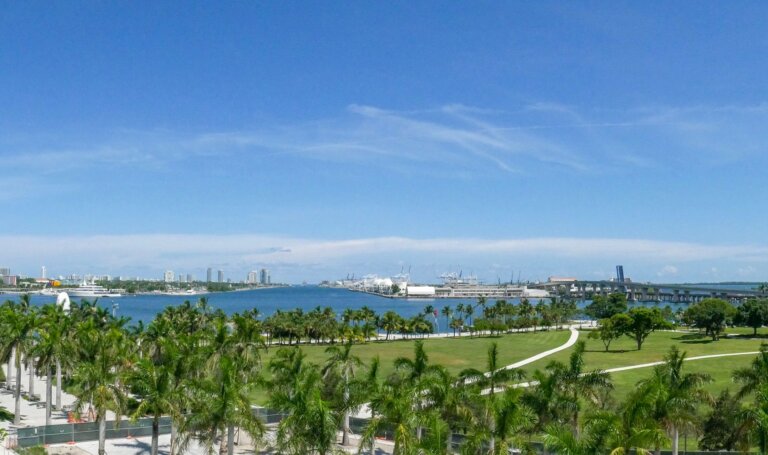 Miami skyline over green parkland